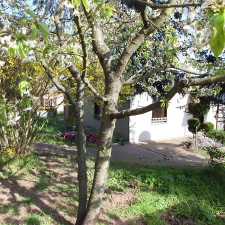 Ferienhaus Santo Vila Nordhausen Exterior foto