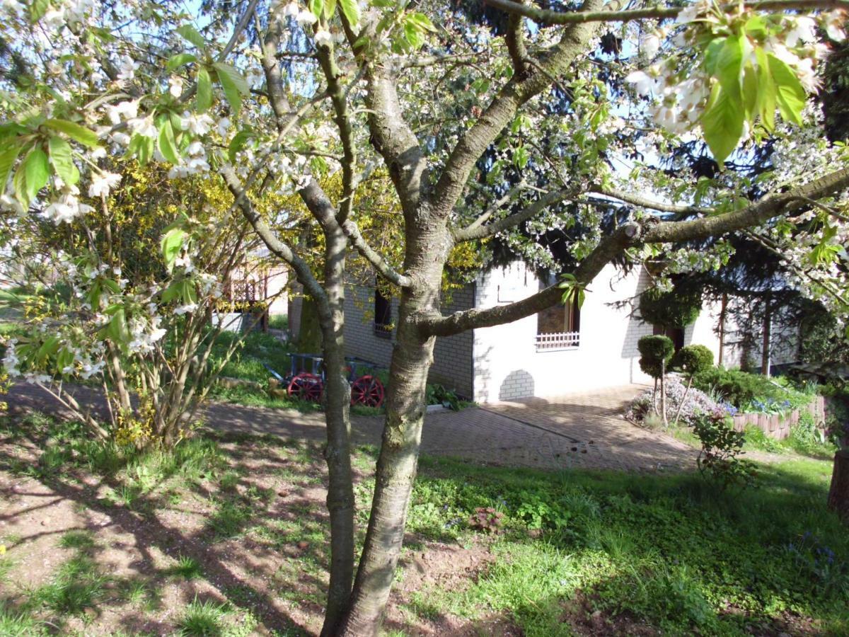 Ferienhaus Santo Vila Nordhausen Exterior foto
